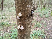 IMG_20240330_103015696
