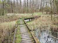 IMG_20240330_100047207