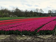 IMG_20240329_145832153
