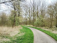 IMG_20240329_134208754