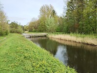 IMG_20240413_110310475