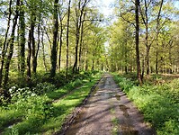 IMG_20240420_094150978