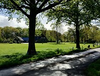 IMG_20240420_095252143_HDR