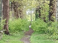 IMG_20240420_100959032