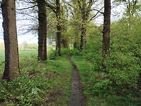 IMG_20240420_101002212