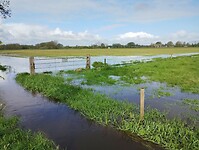 IMG_20240420_101606889