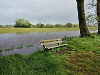 IMG_20240420_101749947