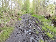 IMG_20240420_110408714