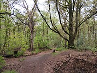 IMG_20240420_115223855