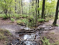 IMG_20240420_115402873