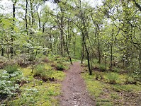 IMG_20240420_115432273