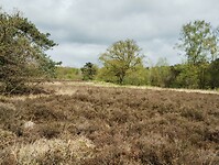 IMG_20240420_133642585