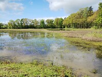 IMG_20240420_141249662