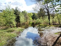 IMG_20240420_142355810