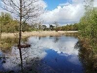 IMG_20240420_142511573