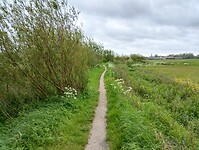 IMG_20240503_174604747_HDR
