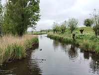 IMG_20240503_144002105