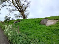 IMG_20240503_142642206_HDR