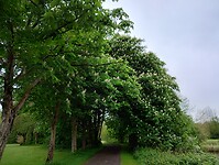 IMG_20240503_133801792_HDR
