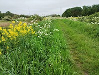 IMG_20240503_132848049
