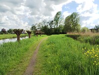 IMG_20240504_163655993