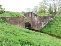 IMG_20240504_152232303