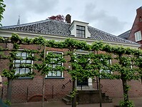 IMG_20240504_133251863_HDR