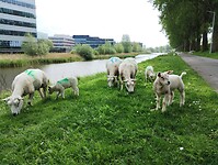 IMG_20240504_115746439