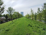 IMG_20240504_110855138