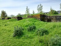 IMG_20240504_110439460_HDR