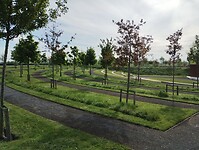 IMG_20240504_093256240