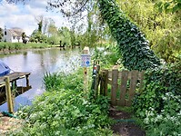 IMG_20240505_131311691_HDR