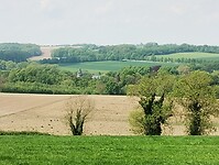 IMG_20240509_135015133