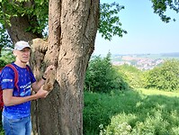 IMG_20240509_105249821_HDR