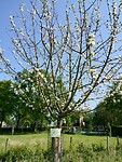 IMG_20240510_104744335_HDR