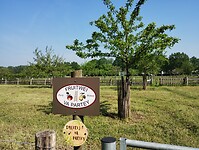 IMG_20240510_104548197