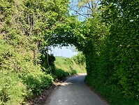 IMG_20240510_103805299_HDR