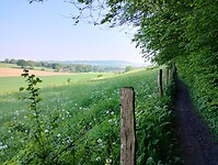 IMG_20240510_102739207_HDR