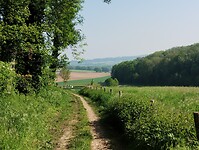 IMG_20240510_101908065