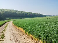 IMG_20240510_100711474