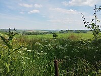 IMG_20240512_145046272
