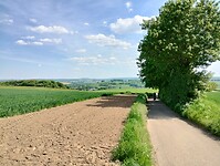 IMG_20240512_144804200_HDR