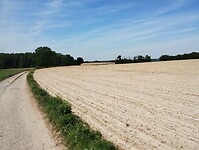 IMG_20240512_142353703