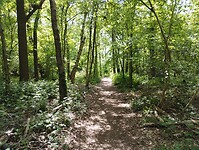 IMG_20240512_140640324