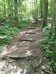 IMG_20240512_135755685