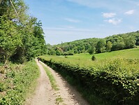 IMG_20240512_134817468