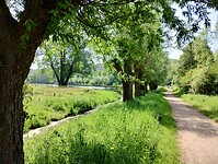 IMG_20240512_123050275_HDR