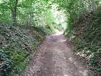 IMG_20240512_112223729