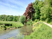 IMG_20240512_111836421_HDR