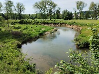 IMG_20240512_111541012
